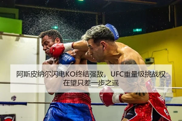 阿斯皮纳尔闪电KO终结强敌，UFC重量级挑战权在望只差一步之遥