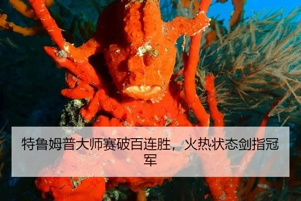 te-lu-mu-pu-da-shi-sai-po-bai-lian-sheng-huo-re-zhuang-tai-jian-zhi-guan-jun-3-421.jpg