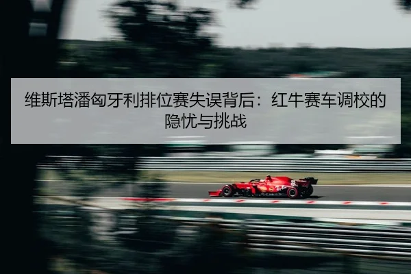 wei-si-ta-pan-xiong-ya-li-pai-wei-sai-shi-wu-bei-hou-hong-niu-sai-che-diao-xiao-de-yin-you-yu-tiao-zhan-2-251.jpg