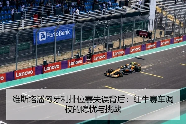 wei-si-ta-pan-xiong-ya-li-pai-wei-sai-shi-wu-bei-hou-hong-niu-sai-che-diao-xiao-de-yin-you-yu-tiao-zhan-3-807.jpg