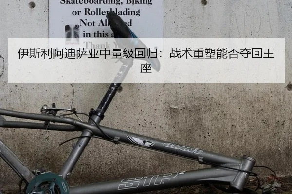 伊斯利阿迪萨亚中量级回归：战术重塑能否夺回王座