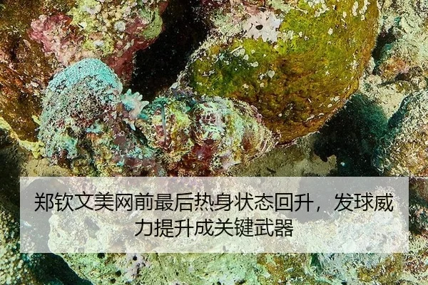 zheng-qin-wen-mei-wang-qian-zui-hou-re-shen-zhuang-tai-hui-sheng-fa-qiu-wei-li-ti-sheng-cheng-guan-jian-wu-qi-3-910.jpg
